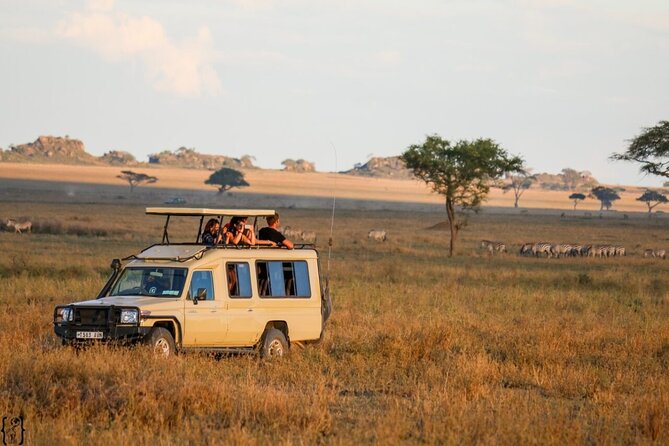 4-Day fascinating Camping Safari in Tanzania - The main drawbacks to weigh