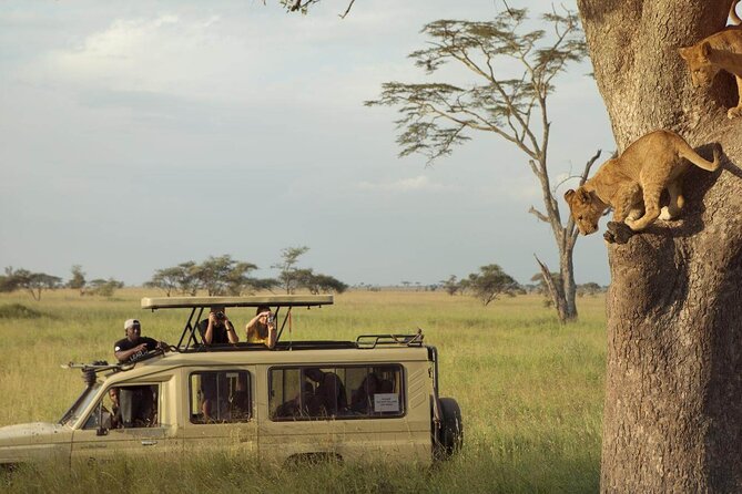 4 Day Great Migration Safari Serengeti & Ngorongoro Crater - Why this four-day safari works