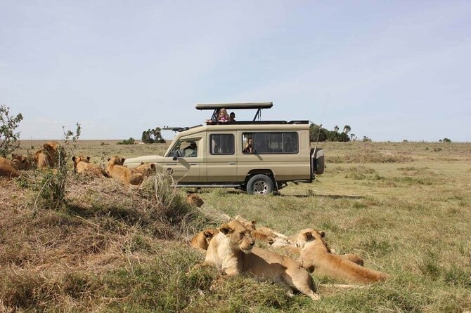 4 Day Great Migration Safari Serengeti & Ngorongoro Crater - Day three: more Serengeti, then a night near Ngorongoro