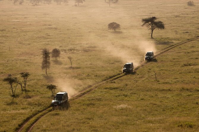 4 Day Great Migration Safari Serengeti & Ngorongoro Crater - Meals, lodging, and daily comfort