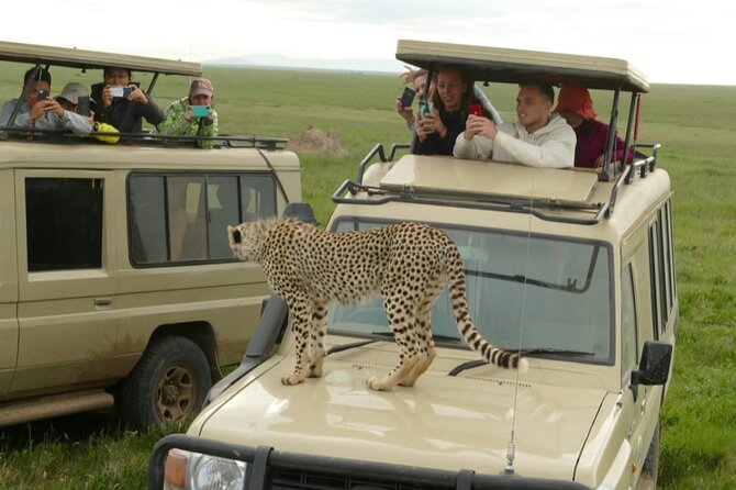 4-Day Lodge Private Tour to Tarangire, Serengeti and Ngorongoro - What the $900 price really covers