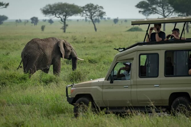 4 Day Ngorongoro Crater Tarangire and Serengeti National Park - Guides, group size, and the safari vehicle