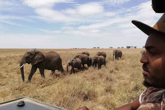 4-Day Safari to Tarangire, Serengeti and Ngorongoro from Arusha - Join a group - Camping, lodging and meals