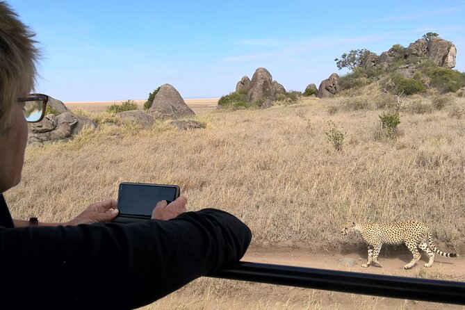 4-Day Safari to Tarangire, Serengeti and Ngorongoro from Arusha - Join a group - Day 1: Tarangire’s elephants and baobabs