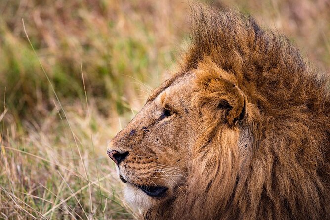 4-Day Simba Safari - Mid Range Tour - Day 1: Lake Manyara is a smart first park