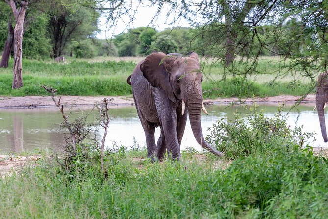 4-day Tanzania Safari - What the six-day schedule really includes