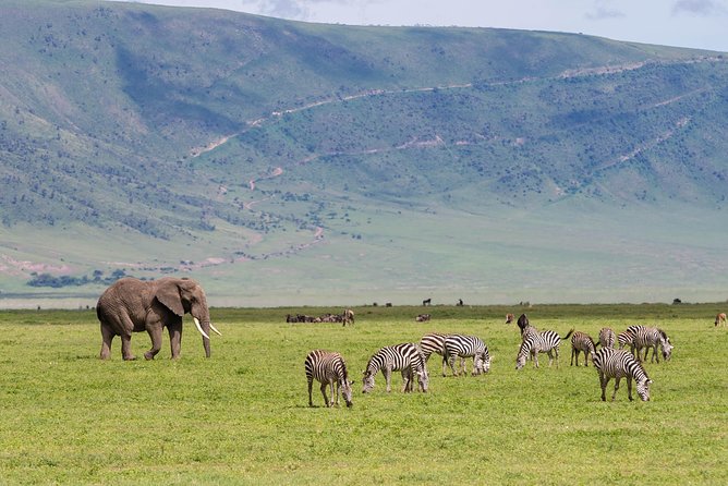 4-day Tanzania Safari - The safari vehicle and daily comfort