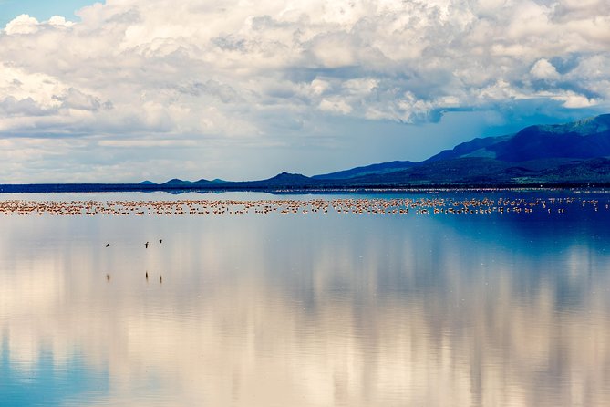 4-day Tanzania Safari - Lodges, meals, and what is included