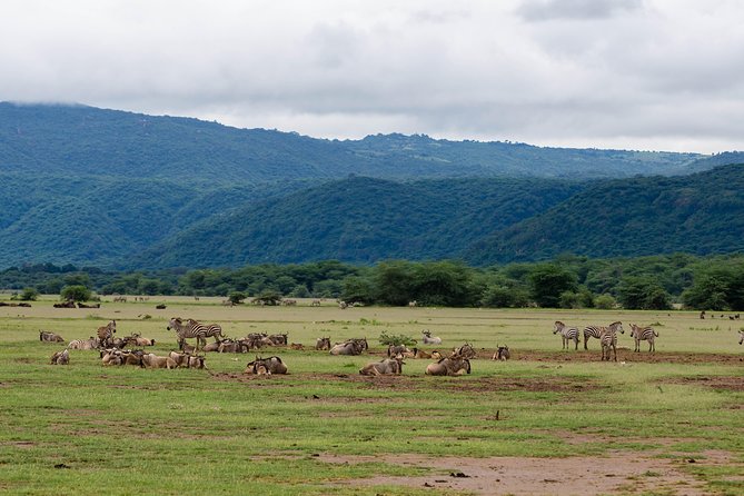 4-day Tanzania Safari - Day one in Arusha: a sensible soft landing