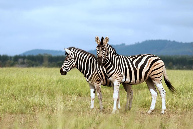 4 Days / 3 Nights Lake Manyara, Ngorongoro and Serengeti - A fast route through Tanzania’s famous parks