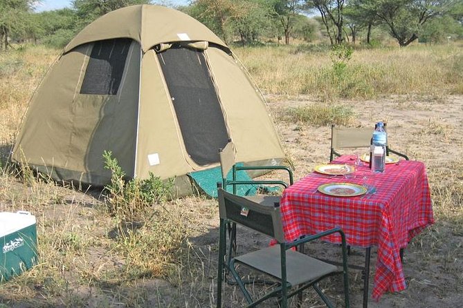 4 Days 3 Nights Tarangire Serengeti & Ngorongoro Lodge Safari - Day 4: Ngorongoro Crater and the return to Arusha
