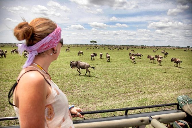 4 Days 3 Nights Tarangire Serengeti & Ngorongoro Lodge Safari - Lodges, camps, meals, and comfort