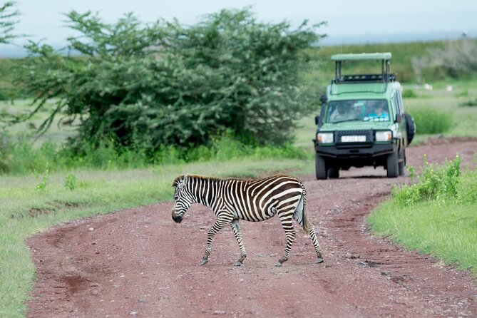 4 days adventure camping safari - Three parks, one hard-working itinerary