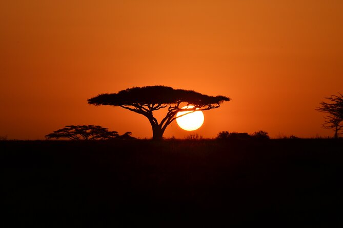 4 days adventure camping safari - Serengeti: the trip’s main event