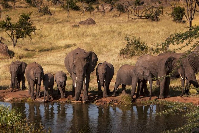 4-Days Adventure Camping Safari to Tarangire, Serengeti & Ngorongoro - Day 2: Entering the Serengeti for sunset