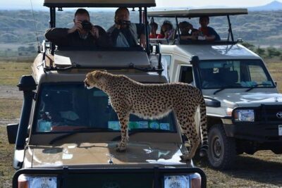 4-Days Adventure Camping Safari to Tarangire, Serengeti & Ngorongoro