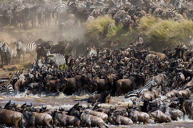 4-Days Adventure Camping Safari to Tarangire, Serengeti & Ngorongoro - Day 4: Ngorongoro Crater and the big-five search