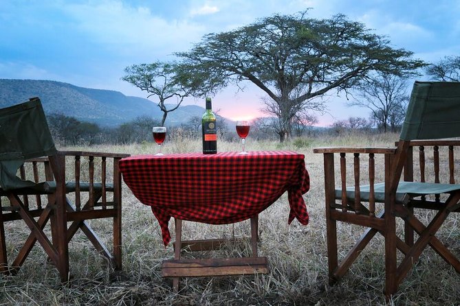 4-Days Adventure Camping Safari to Tarangire, Serengeti & Ngorongoro - What the guides and cook add to the trip