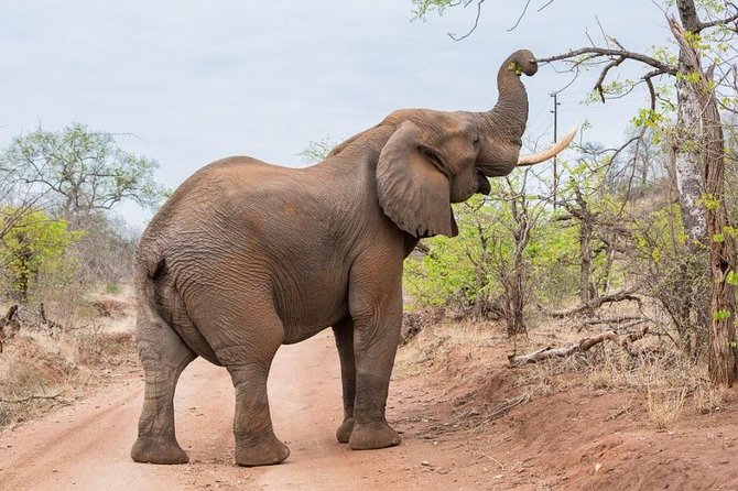 4-Days Adventure Camping Safari to Tarangire, Serengeti & Ngorongoro - Is $1,199 good value?