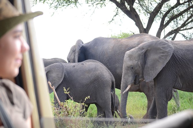 4 days Best experience Kilimanjaro Hike, Serengeti &Ngorongoro - Day 1: Materuni Waterfall, coffee, and Chemka Hot Spring