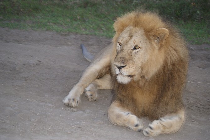 4 Days Group Camping Safari - Key points before you book