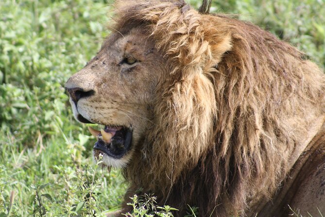4 Days Group Camping Safari - Why this route works in only four days