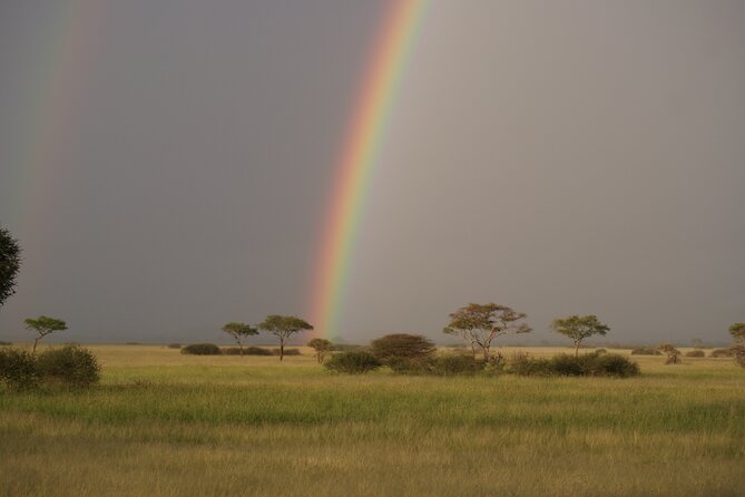 4 Days Group Camping Safari - Day 4: Down into Ngorongoro Crater