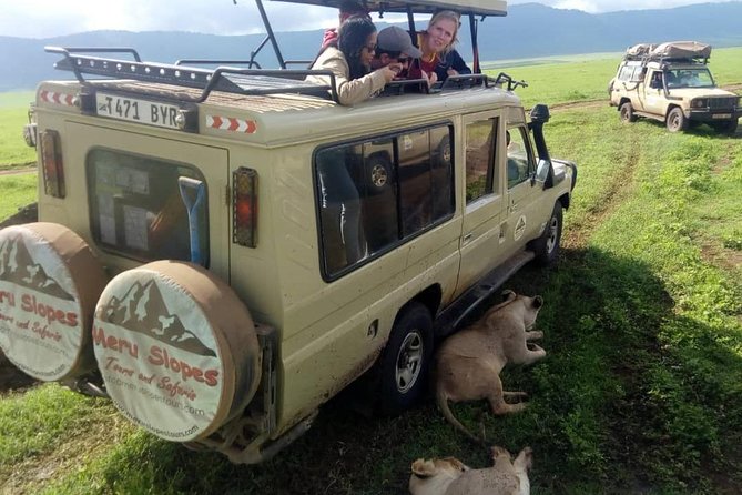 4 Days Join Group tour Tarangire Serengeti and Ngorongoro crater - Ngorongoro Crater: the concentrated finale