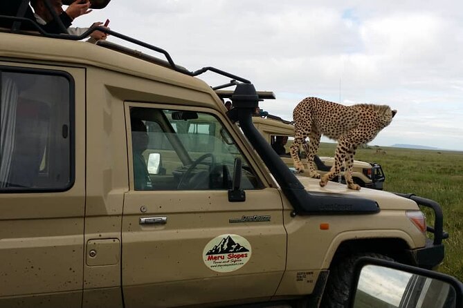 4 Days Join Group tour Tarangire Serengeti and Ngorongoro crater - What the $1,090 price really covers