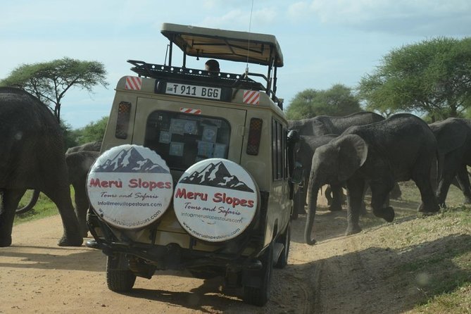 4 Days Join Group tour Tarangire Serengeti and Ngorongoro crater - The road to Serengeti crosses Maasai country and the crater rim