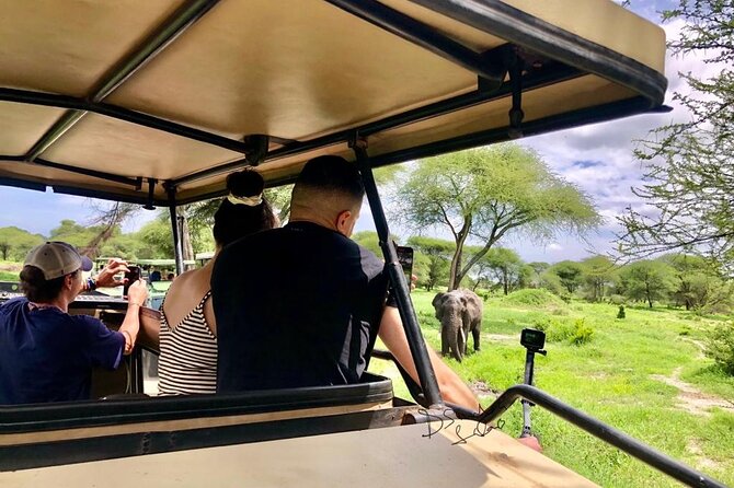 4 Days lodge safari Tarangire , Ngorongoro crater & Walking - Day three: descending into Ngorongoro Crater