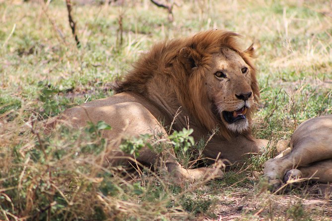 4 Days lodge safari Tarangire , Ngorongoro crater & Walking - What the $720 price includes
