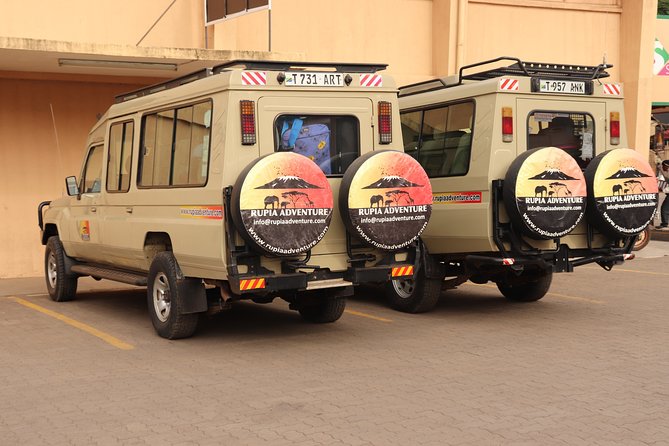 4 Days Private Safari - Tarangire, Serengeti & Ngorongoro Crater - Guides and vehicles can make or break the trip