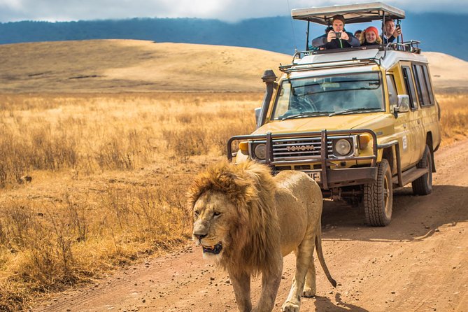 4 Days Private Safari - Tarangire, Serengeti & Ngorongoro Crater - Day 1: Tarangire’s elephants, baobabs, and water