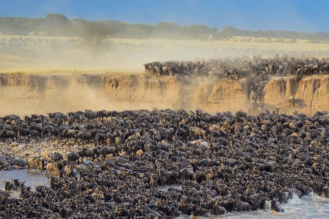 4 days safari in Tanzania - Guides, cooks, and the human side of the trip
