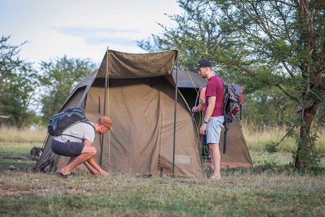4 Days safari Tour Tanzania - Three parks in four days
