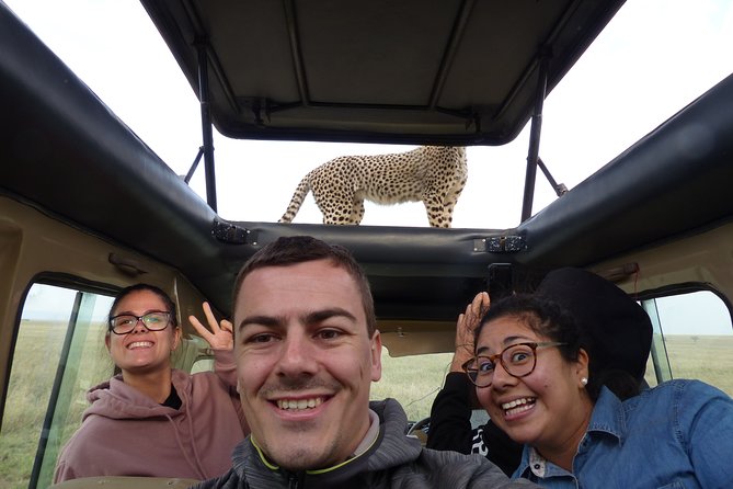 4 Days safari Tour Tanzania - Wildlife hopes and realistic expectations