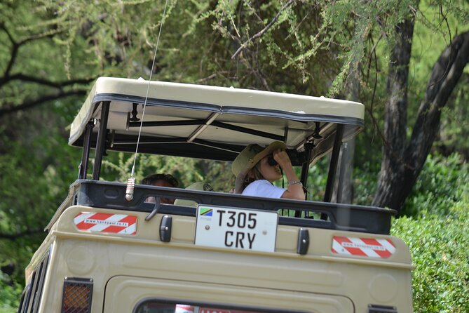 4 days serengeti & ngorongoro mid range tour - Day Four: Searching for Black Rhinos in Ngorongoro Crater