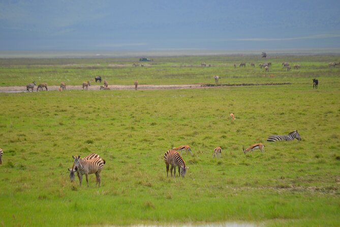 4 days serengeti & ngorongoro mid range tour - Practical Details Before You Confirm