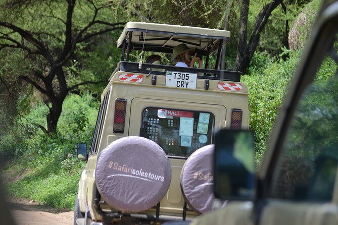 4 days serengeti & ngorongoro mid range tour - Day Three: Serengeti Wildlife and the Balloon Question