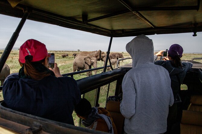 4 Days Tanzania Budget Safari - Camping, meals, and daily comfort