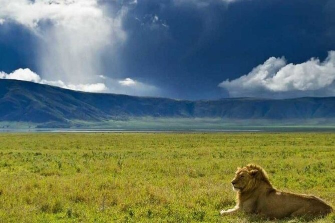 4 Days Tanzania Camping Safari - What the private vehicle adds