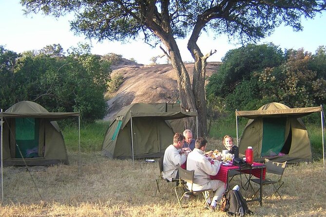 4 Days Tanzania Camping Safari - Day 1: Tarangire’s elephants and baobabs