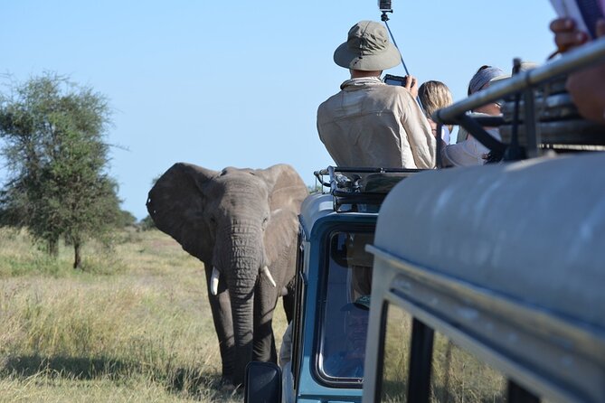 4 Days Tanzania Lodge Safari With Two Nights at Serengeti - Day two: Crossing the highlands into Seronera