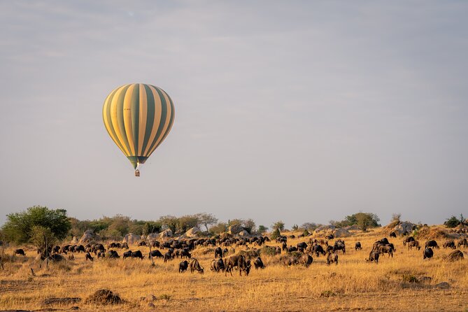 4 Days Tarangire, Serengeti and Ngorongoro Mid-Range Group Safari - Day 4: Ngorongoro Crater and the return to Arusha