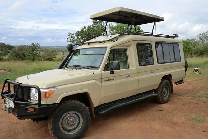 4 days Tarangire, Serengeti & Ngorongoro - Day one: elephants and baobabs in Tarangire