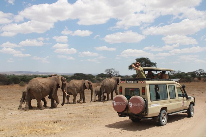 4 Days Tarangire Serengeti Ngorongoro Crater - What this four-day safari really offers