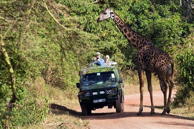 4 Days Tarangire Serengeti Ngorongoro Crater - Descending into Ngorongoro Crater