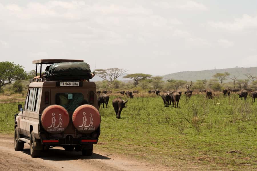 4 Days Tarangire, Serengeti, Ngorongoro Group Camping Safari - Why this four-day route works