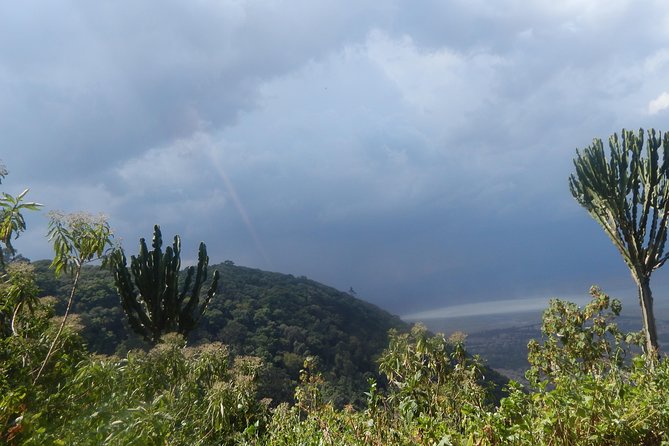 4 days Tarangire, Serengeti & Ngorongoro - Camping, food, and the real meaning of full board